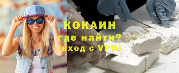 гашик Алексин