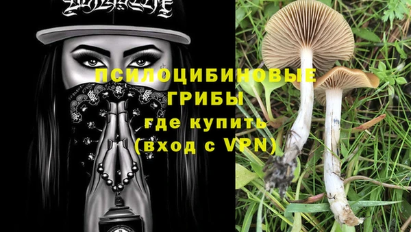 а пвп мука Алзамай
