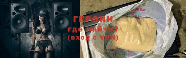 гашик Алексин