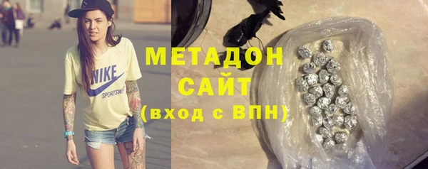 гашик Алексин
