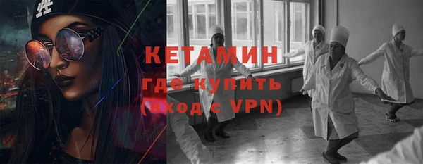 гашик Алексин