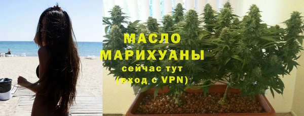 гашик Алексин